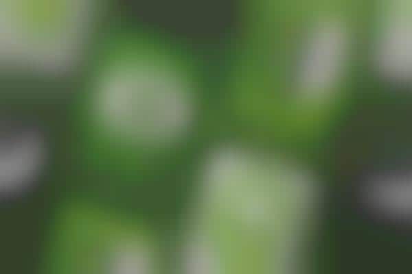 Educational Cannabis Platforms