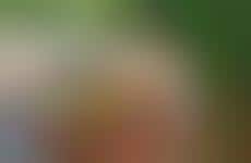 Sous Vide Delivery Services