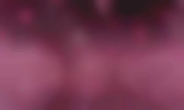 Responsive Cherry Blossom Installations