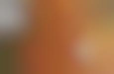 Loaded Tater Tot Nachos