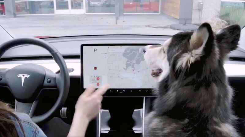 Dog-Cooling Car Systems