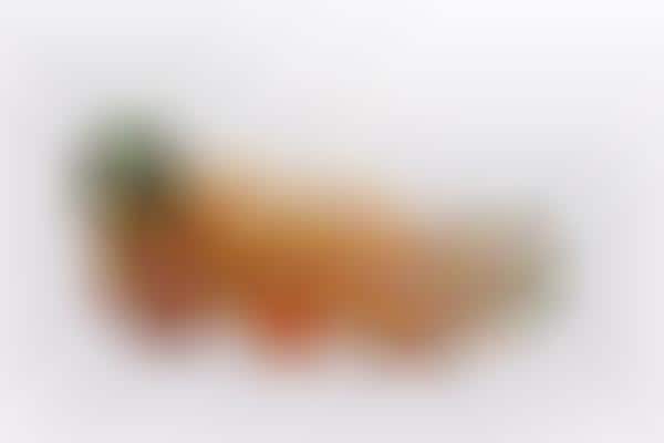 Seafood Waste Bioplastics