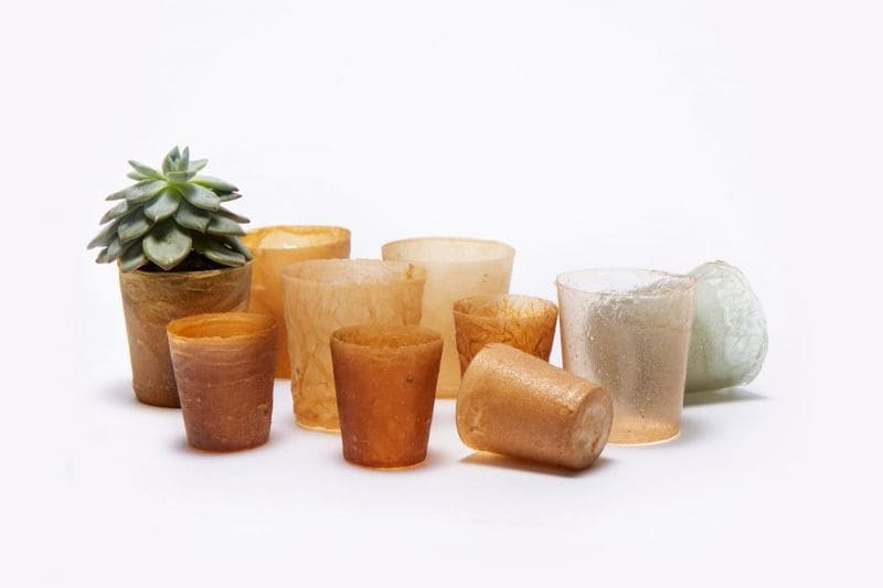 Seafood Waste Bioplastics