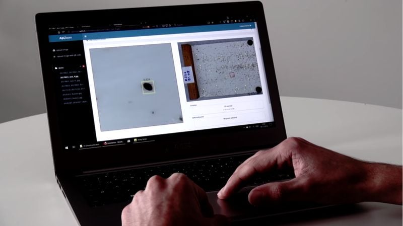 AI Bee-Saving Algorithms