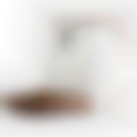 Voice Assistant Pet Feeders