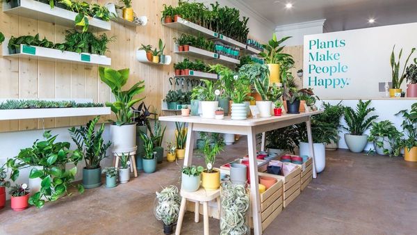 Top 30 Retail Ideas in March