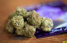 Creativity-Focused Cannabis Strains