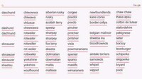 Search Engine Adoption Campaigns Image 5