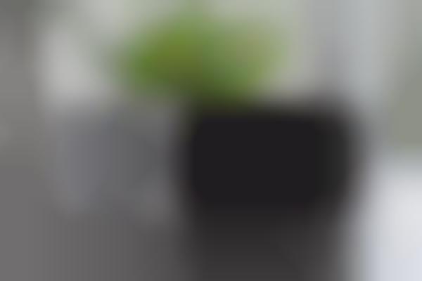Discreet Outlet-Sized Air Monitors