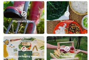 Waste-Free Meal Kits Article Thubnail