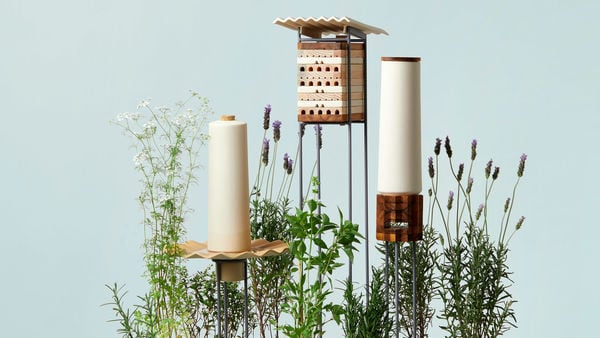 Top 90 Eco Trends in March