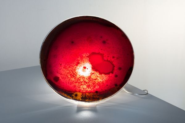 Bacterial-Stained Glass Lighting
