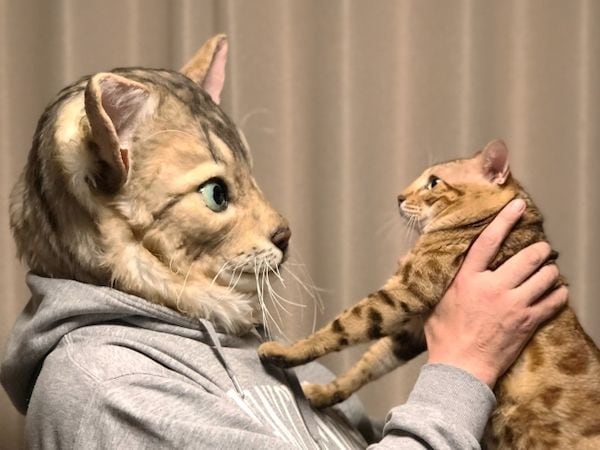 Customizable Cat Masks