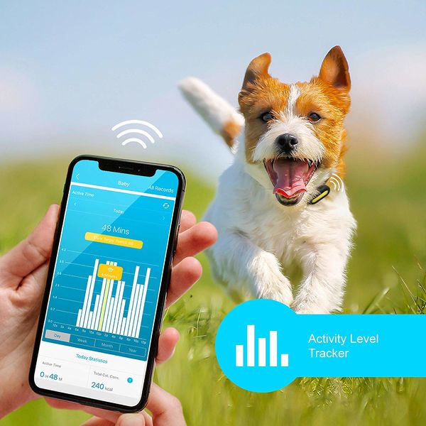 Top 100 Tech Trends in March