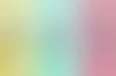 Plant-Based Popped Seed Snacks