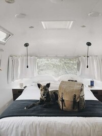 Luxurious Camping Experiences Image 3