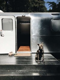 Luxurious Camping Experiences Image 5