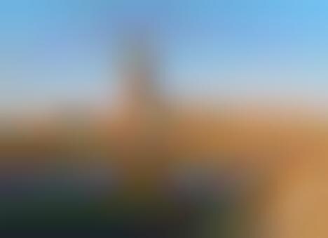 Chinese Botanic Art Centres