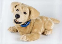 Therapeutic Canine Robots Image 2