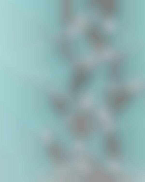 Stem Cell Hair Sprays