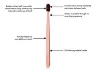 Charcoal-Infused Eco Toothbrushes Image 3