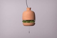 Greenery-Growing Hanging Lights Image 2