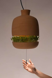 Greenery-Growing Hanging Lights Image 3