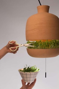 Greenery-Growing Hanging Lights Image 4
