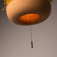 Greenery-Growing Hanging Lights Image 5