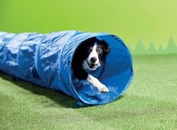 Stylish Low-Cost Pet Products Image 2