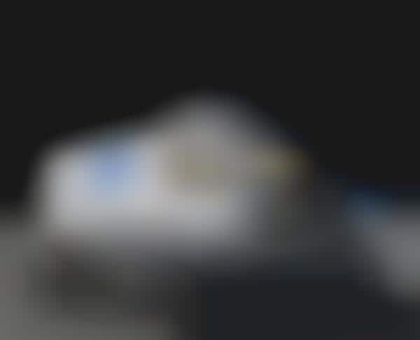 Martian Terrain Exploration Vehicles
