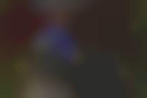 wings backpack wool and oak