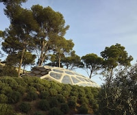 Landscape-Extending Organic Designs Image 3