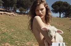 Organic Beauty Products