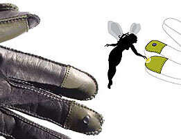 Gadget Friendly Gloves