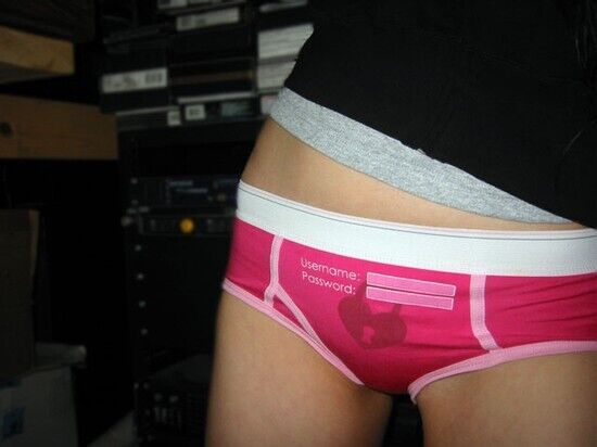 Username and Password Panties