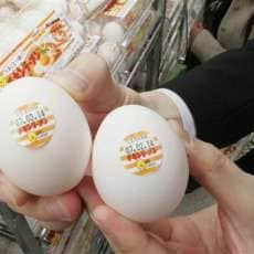 Eggvertising Update