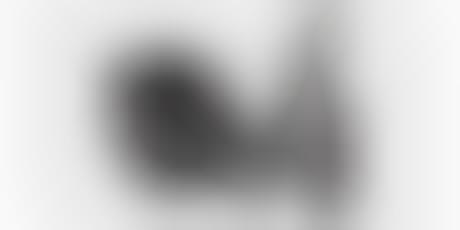 Digital Pen