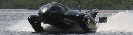 David Borman's Sea Phantom