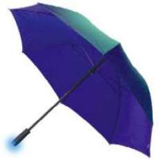 The Smart Umbrella