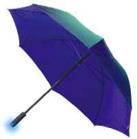 The Smart Umbrella