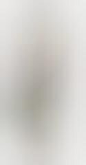 Minimalist Vision