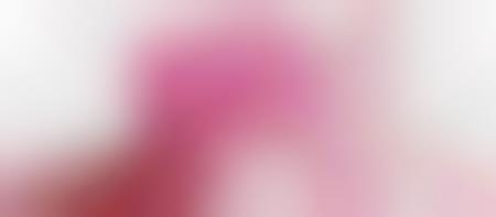 Pink Car Kit