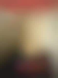 America Freedom to Fascism