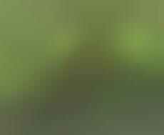 Streaker Love Story: Shameless Public Nudity