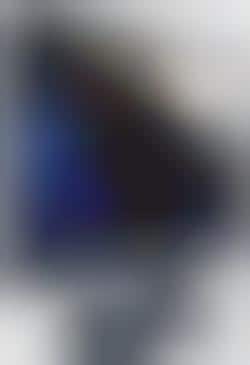 ViewSonic's LCD for your iPod