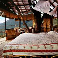 Wild Canopy Reserve Hotel, India