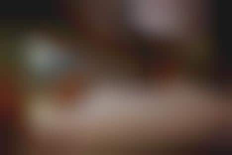 Wild Canopy Reserve Hotel, India