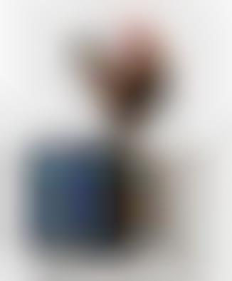 The Wave TV Microwave