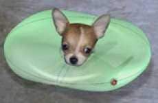 Float-A-Pet: A Floatation Device For Pets Who Can't Swim